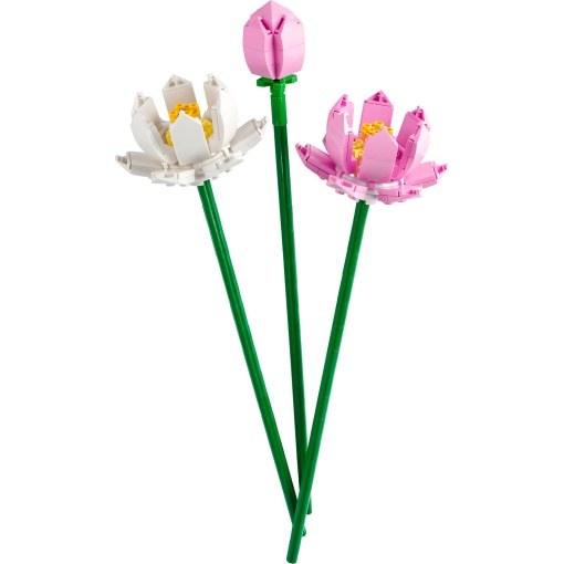 LEGO Botanical Collection Flor-de-Lótus 40647