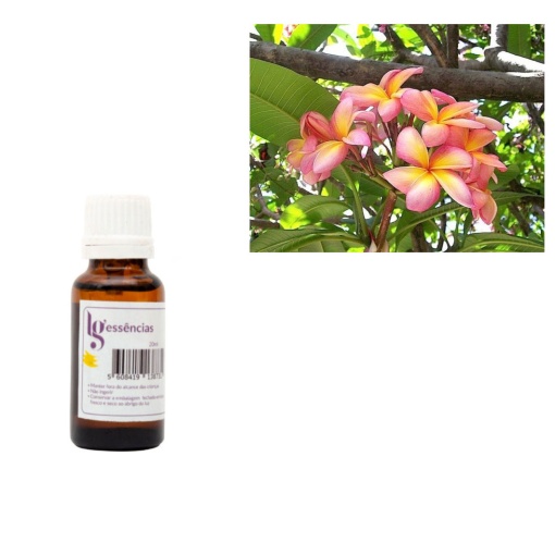 Essência Jasmim Tropical 20ml