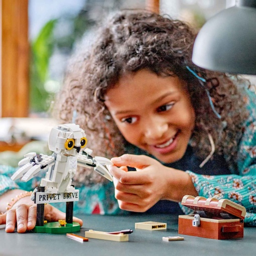 LEGO Harry Potter Hedwig no 4 Privet Drive 76425
