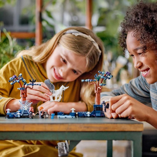 LEGO Harry Potter Floresta Proibida: Criaturas Mágicas 76432
