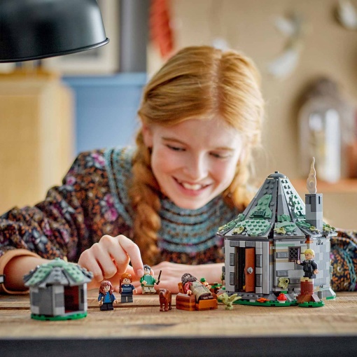 LEGO Harry Potter A Cabana de Hagrid: Uma Visita Inesperada 76428