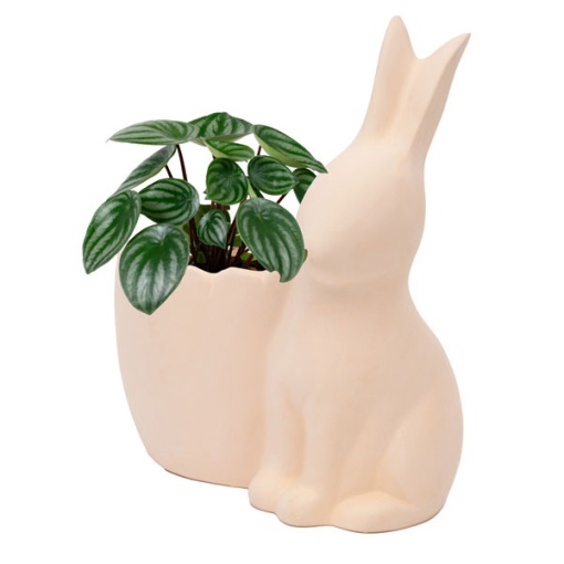 Cachepot Coelho em CHACOTA 14x15cm