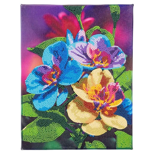 Pintar com diamantes flores NICE Diamantiny 96563/assort 1