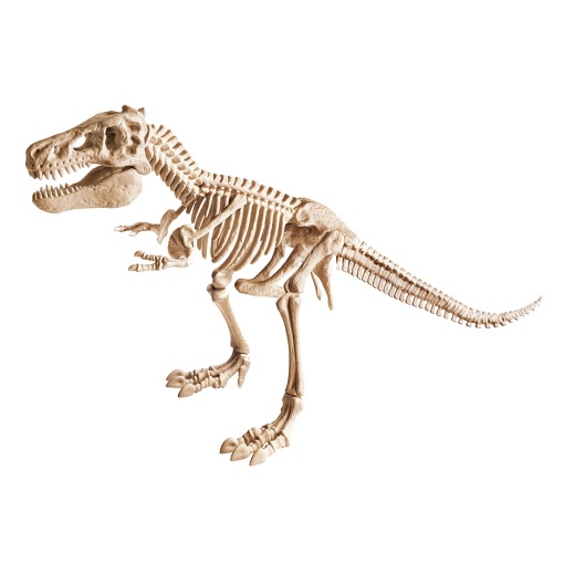 Kit Arqueologia "T-rex Gigante" Ciência & Jogo Lab