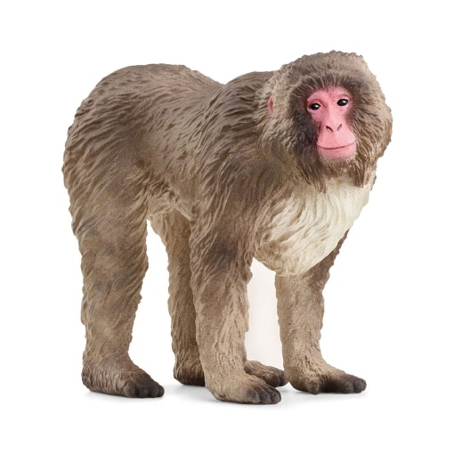 Macaco Japonês SCHLEICH WILD Life