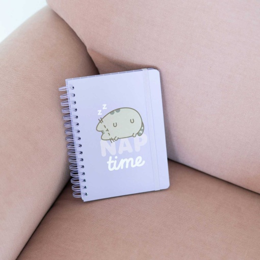 Caderno A5 Capa Dura ESPRIRAL PUSHEEN MOMENTS 2024 PONTILHADO 90 folhas 100g