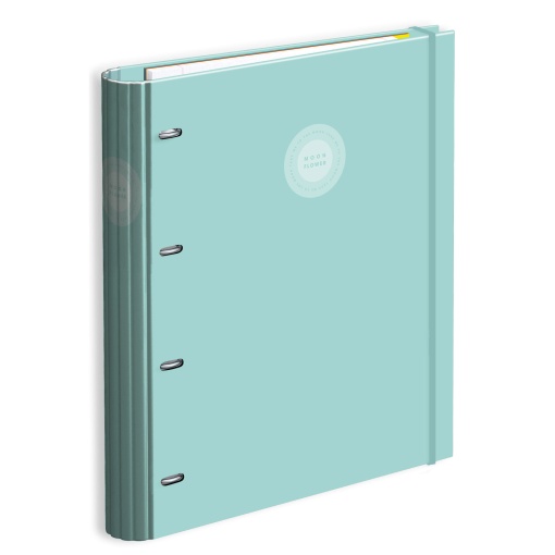 A4 school binder with lined refill + dividers, AMBAR Moonflower Campus 2025, wide spine, 4 rings, assorted.