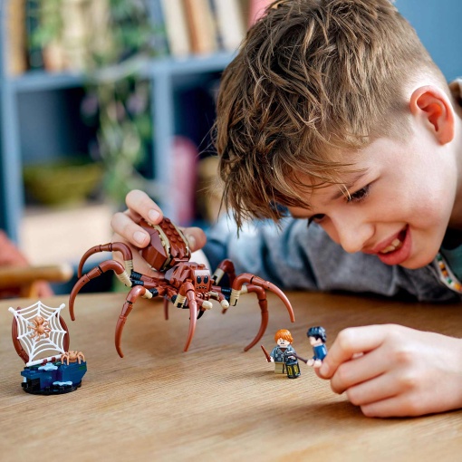 LEGO Harry Potter Aragog na Floresta Proibida 76434