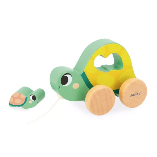 Box 18 meses JANOD
