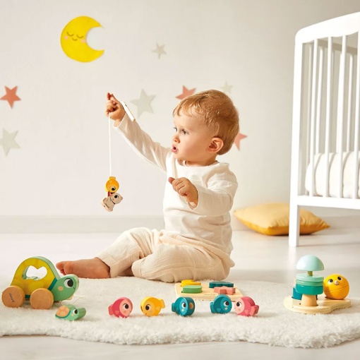 Box 18 meses JANOD