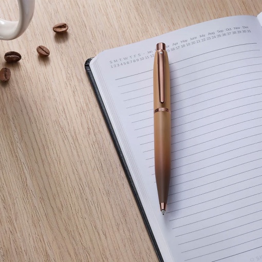 SHEAFFER VFM Coffee Edition ballpoint pen