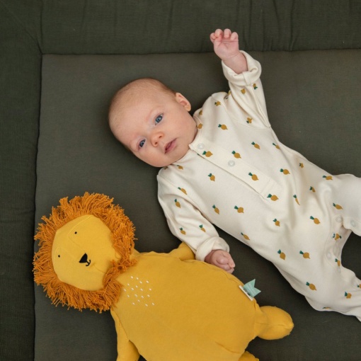 Peluche Mr. Lion 23cm TRIXIE