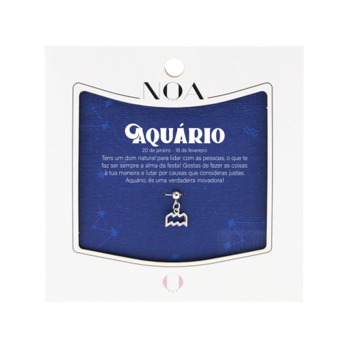 Charm Aço Prateado NOA Story Zodíaco "Aquário"
