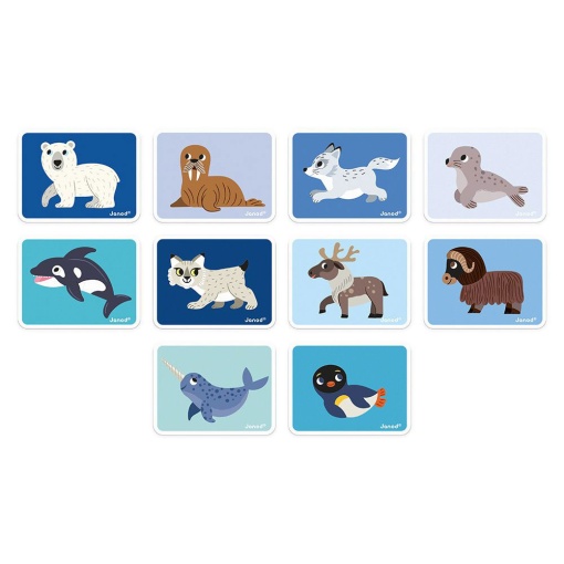 Magneti' Book Animais do Gelo JANOD