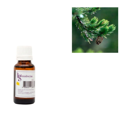 Essência de Pinho 20ml