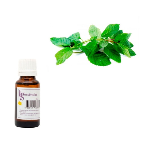 Essência de Menta 20ml