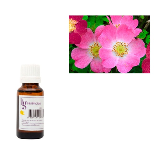 Essência de Rosa Mosqueta 20ml