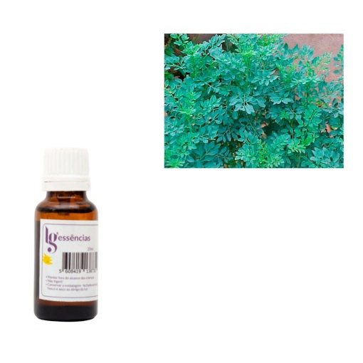 Essência de Arruda 20ml