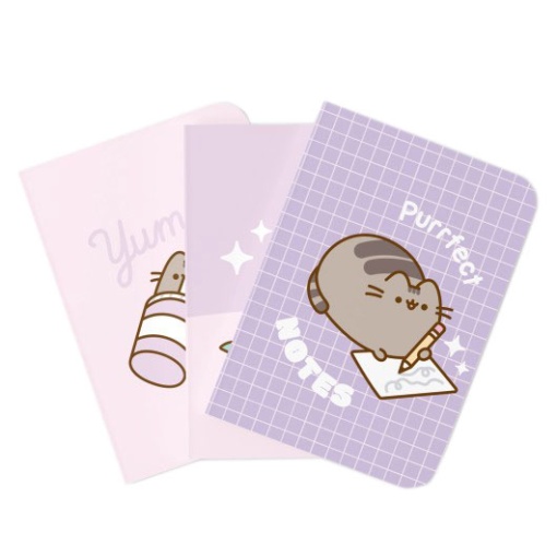 Conjunto 3 Cadernos A5 PUSHEEN Moments