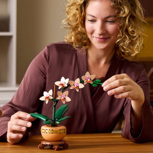 LEGO Botanical Collection Orquídea em Miniatura 10343