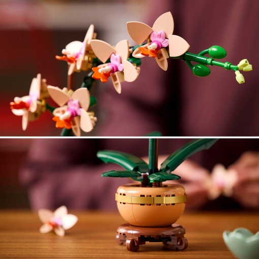 LEGO Botanical Collection Orquídea em Miniatura 10343