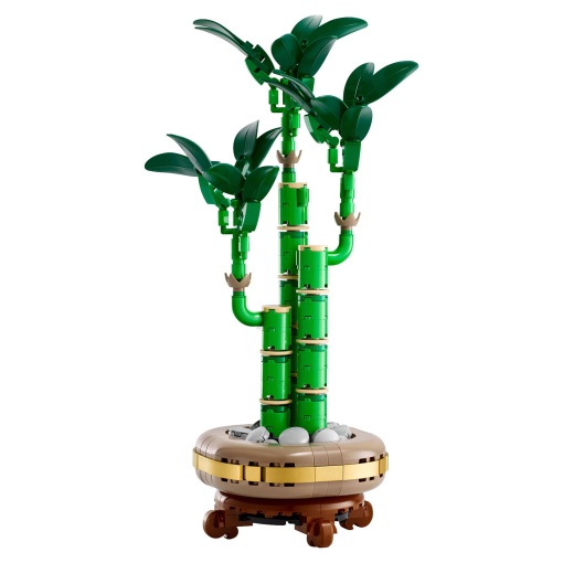 LEGO Botanical Collection Bambu da Sorte 10344