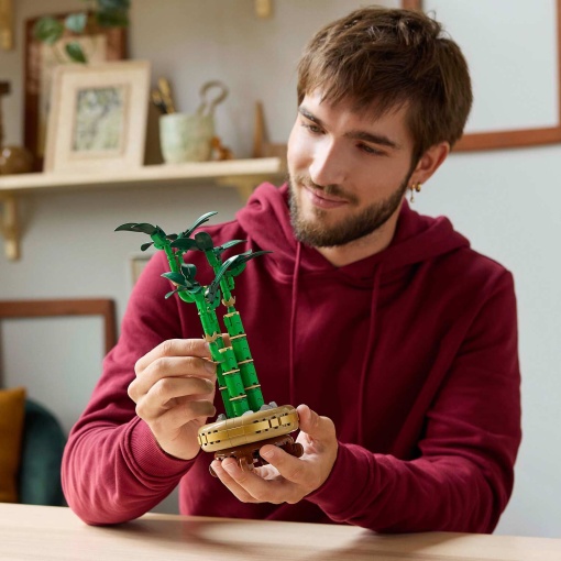 LEGO Botanical Collection Bambu da Sorte 10344