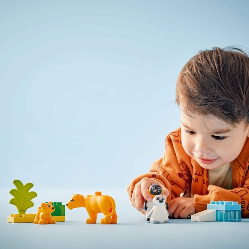LEGO Duplo Família de Animais Selvagens: Pinguins e Leões 10442