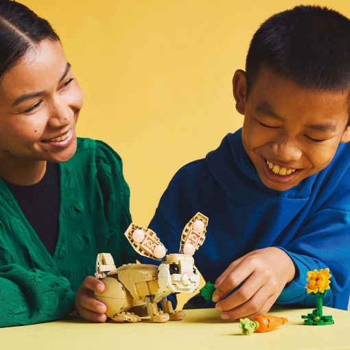 LEGO Creator 3-in-1 Coelhinho Adorável 31162