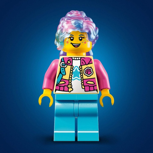 LEGO Dreamzzz Aventuras Criativas com Animais do Bunchu 71488