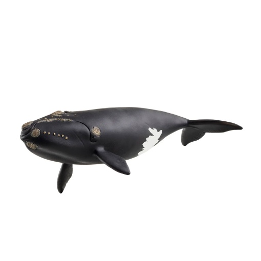 Baleia-franca glacial SCHLEICH WILD Life