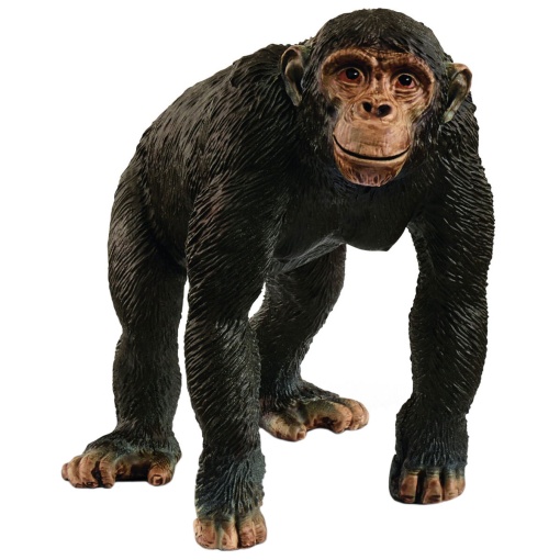Chimpanzé SCHLEICH WILD Life