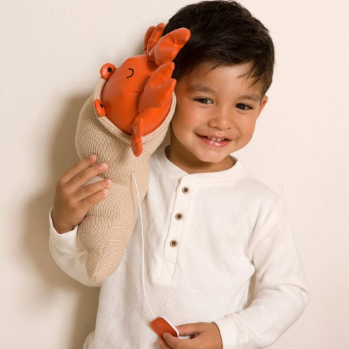 Peluche Musical LITTLE Big Friends Brigitte - O Caranguejo-eremita 20cm
