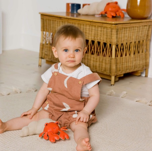 Peluche LITTLE Big Friends Brigitte - O Caranguejo-eremita 10cm