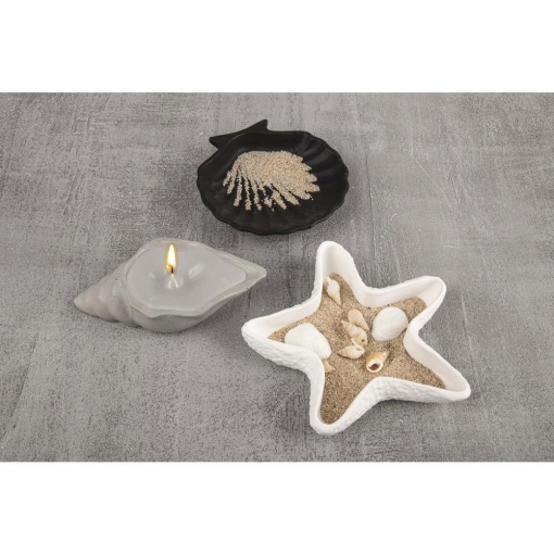 Molde de silicone Estrela do MAR com 3 conchas RAYHER
