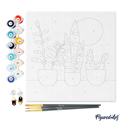 Pintar por números FIGURED'ART com moldura 20x20cm três vasos de plantas