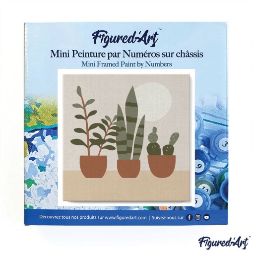 Pintar por números FIGURED'ART com moldura 20x20cm três vasos de plantas
