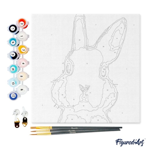 Pintar por números FIGURED'ART com moldura 20x20cm coelho calmo