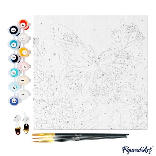 Pintar por números FIGURED'ART com moldura 20x20cm borboleta tropical