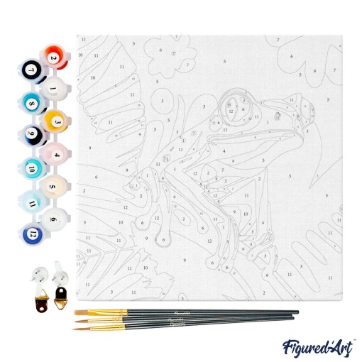 Pintar por números FIGURED'ART com moldura 20x20cm rã de árvore tropical de olhos vermelhos