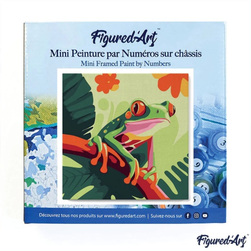 Pintar por números FIGURED'ART com moldura 20x20cm rã de árvore tropical de olhos vermelhos