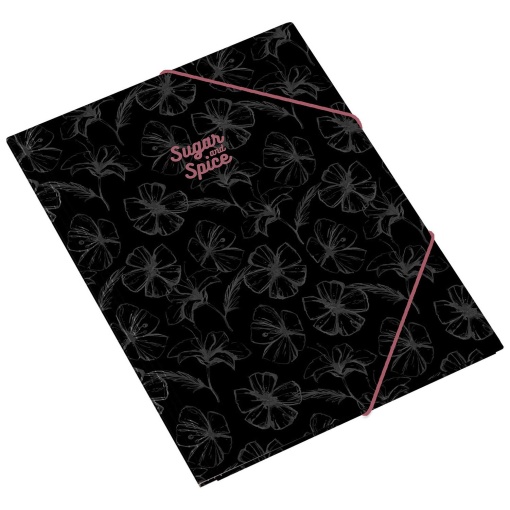 Amber Sugar & Spice assorted elastic lunchbox folders