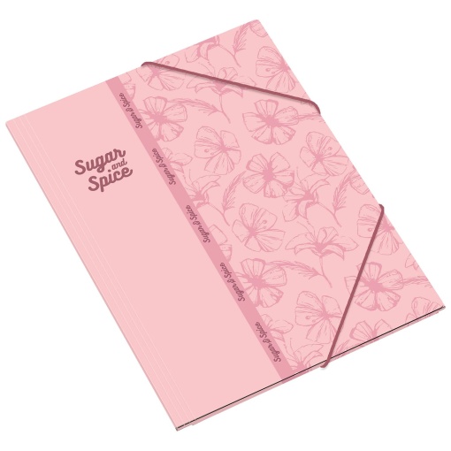 Amber Sugar & Spice assorted elastic lunchbox folders