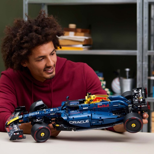 LEGO Technic Carro Oracle Red Bull Racing Rb20 F1 42206