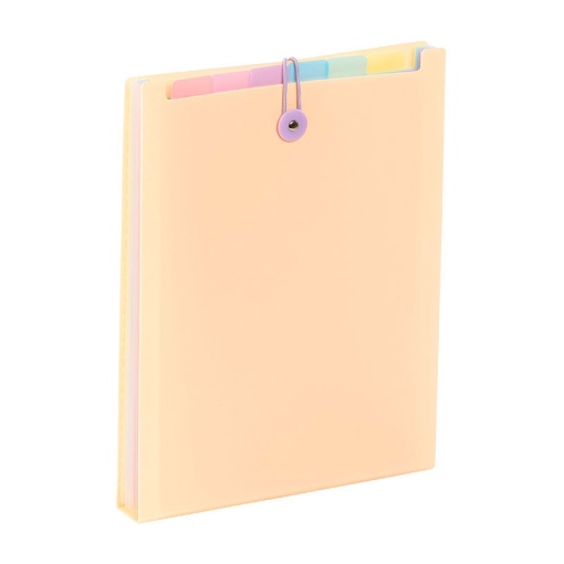 Pasta com 6 divisórias VIQUEL Rainbow pastel A4 sortido