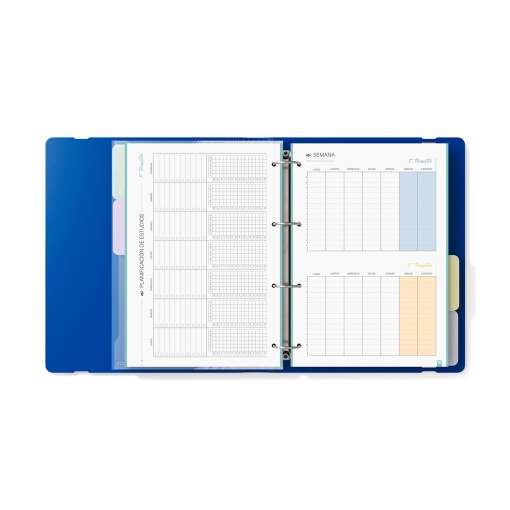 Dossier Escolar A4 com Recarga Pautada+Organizer CARCHIVO 360 Foam Style lombada estreita 4 Argolas Azul