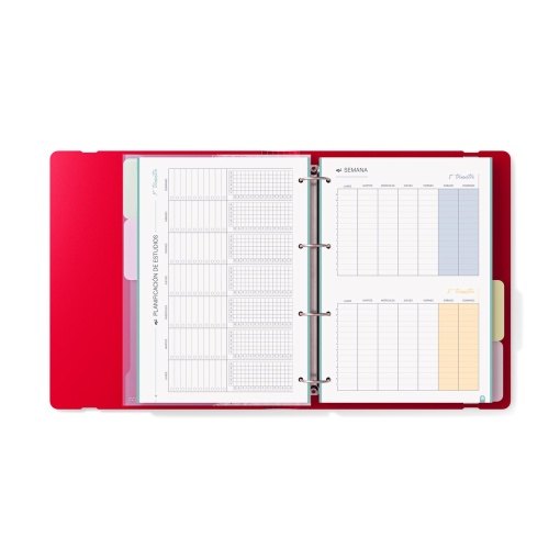 Dossier Escolar A4 com Recarga Pautada+Organizer CARCHIVO 360 Foam Style lombada estreita 4 Argolas Vermelho