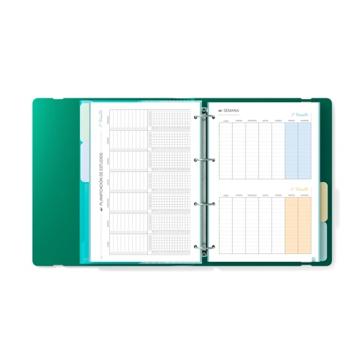 Dossier Escolar A4 com Recarga Pautada+Organizer CARCHIVO 360 Foam Style lombada estreita 4 Argolas Verde