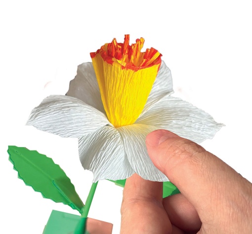 Cria As Tuas Flores CLEMENTONI Idea