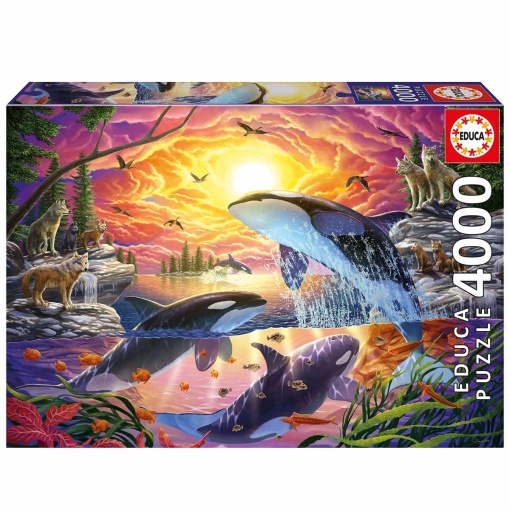 Puzzle EDUCA 4000 peças Orcas e Lobos